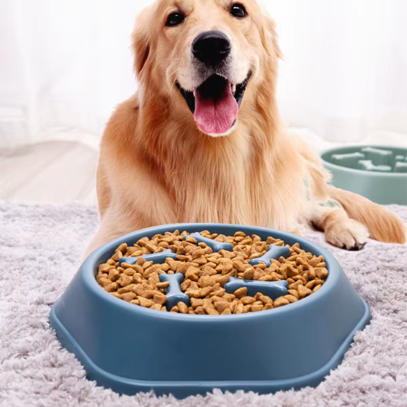 Pet Slow Food Bowl Cat/Dog Large Capacity Food Bowl to Relieve Anxiety, Anti-Choking, Non-Slip and Anti-Overturning Colored Bowl